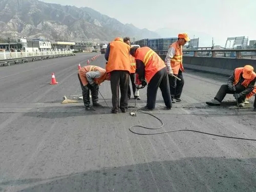 咸阳道路桥梁病害治理